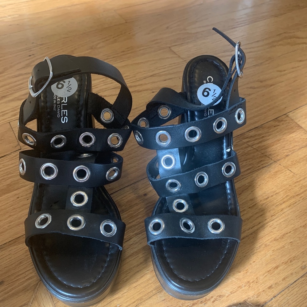 Charles David platform sandal NWOB